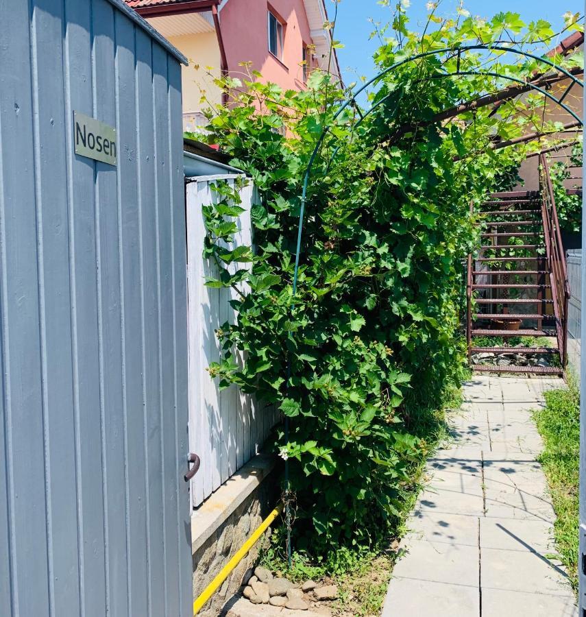 Nosen Apartment Bistriţa Exteriör bild